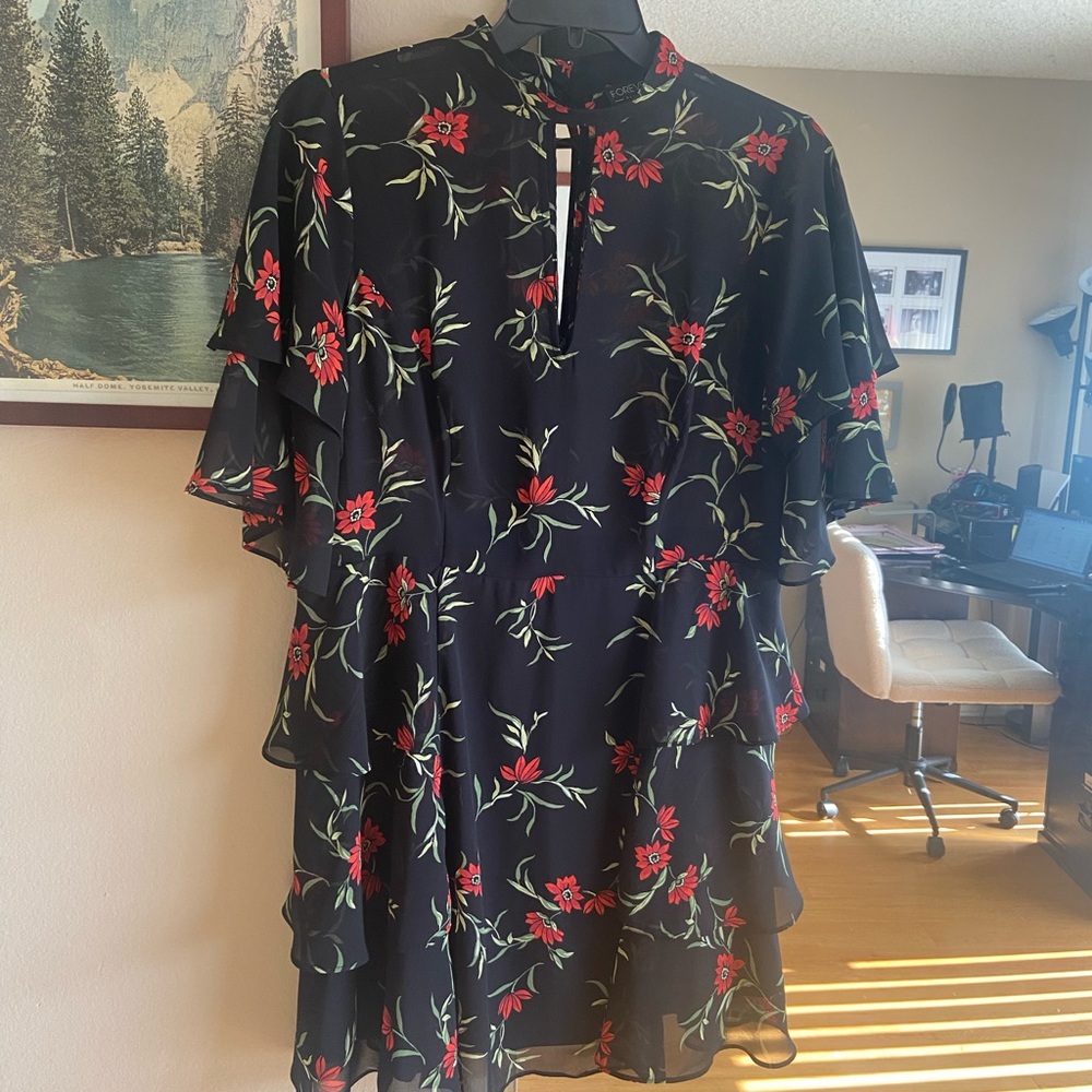 Sheer chiffon floral tiered minidress - 1X